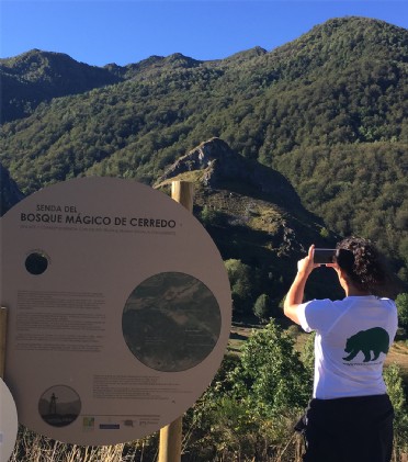Bosque mgico