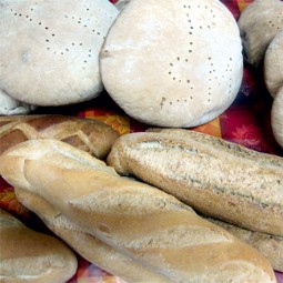 Panadera Santa Marina