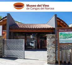 Museo del Vino de Cangas del Narcea