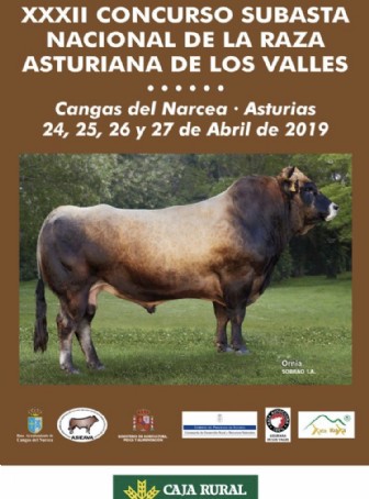 Concurso Subasta Nacional de la Raza Asturiana de los Valles