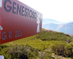 GR 203 Por donde camina el oso. Etapa 10. Genestoso - L`Acebu