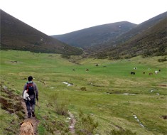 GR 203 `Por donde camina el oso` Etapa 9. Leitariegos-Genestoso