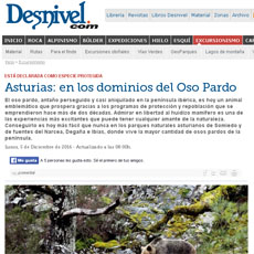 Asturias, en los dominios del oso
