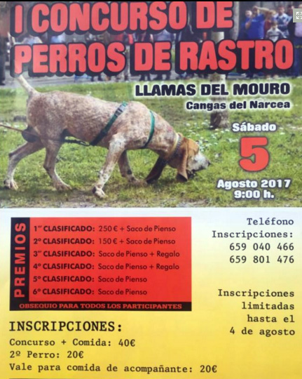 Concurso perros rastreo Llamas del Mouro