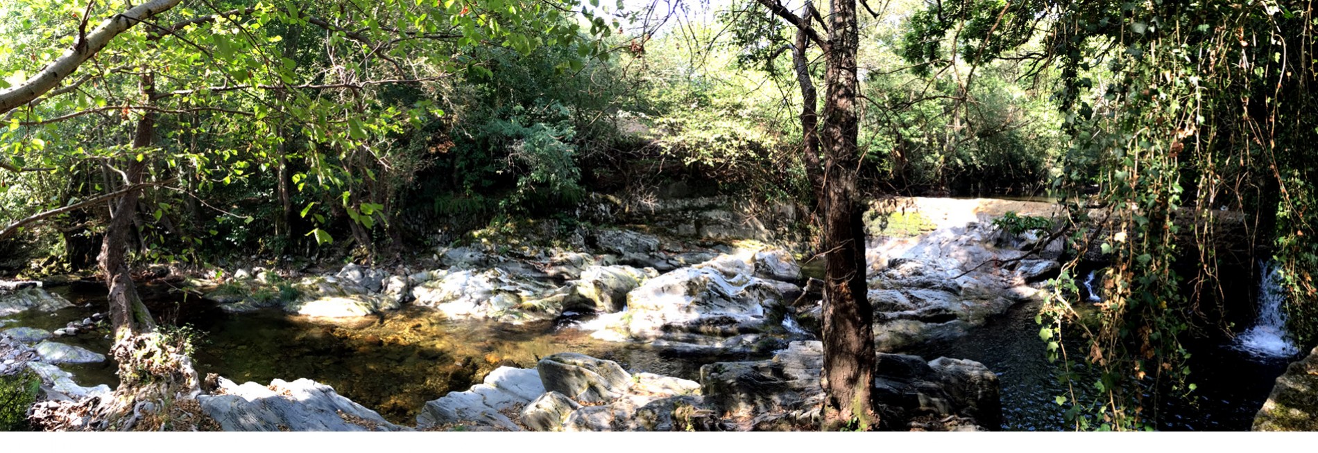 Río Narcea Río Narcea