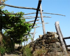 GR.203. Por donde camina el oso. Etapa 4. Seroiro - San Antoln