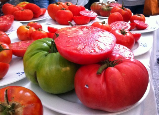 tomates cangas del narcea