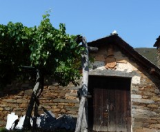 Casa de Doña Vicenta Uría - Uría, Ibias