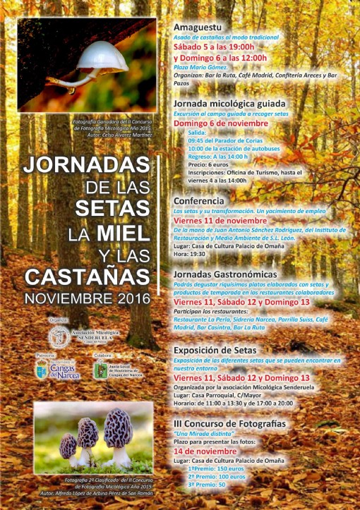 Setas