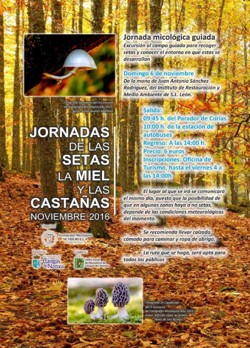 Salida setas