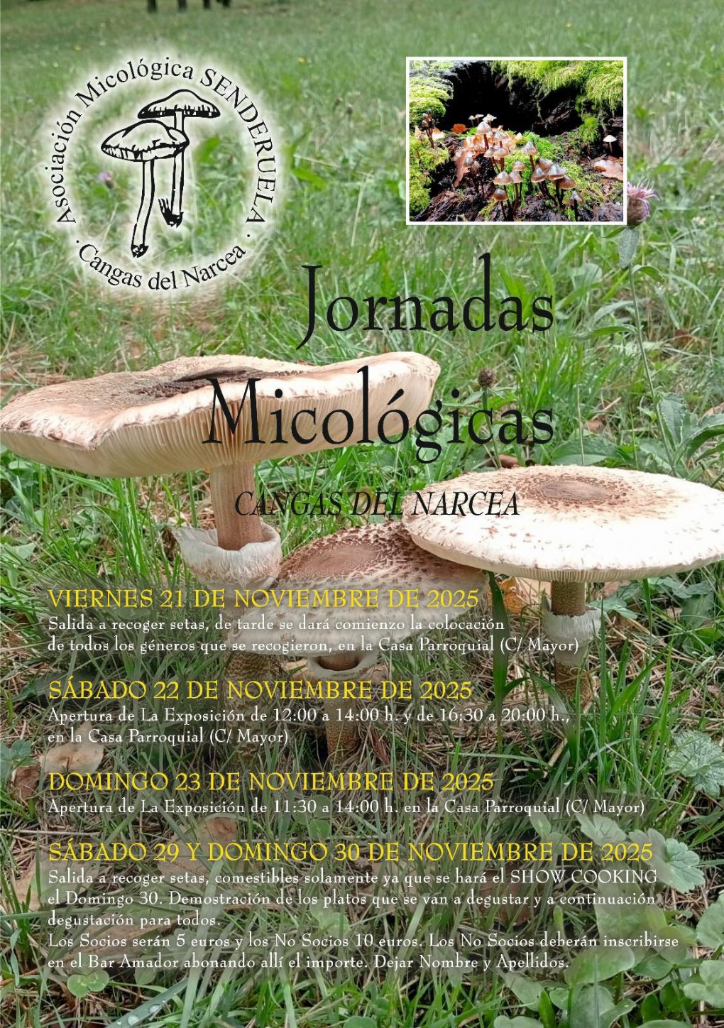 Jornadas Micolgicas Cangas del Narcea