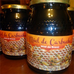 Miel Carbacho